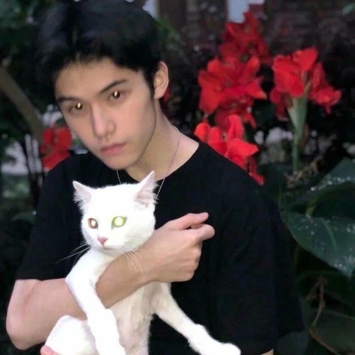 爷的魅力你不懂的第一张照片--莆田相亲网